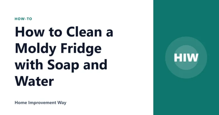 How to Clean a Moldy Fridge with Soap and Water