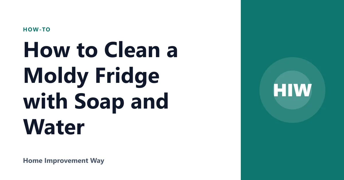 How to Clean a Moldy Fridge with Soap and Water
