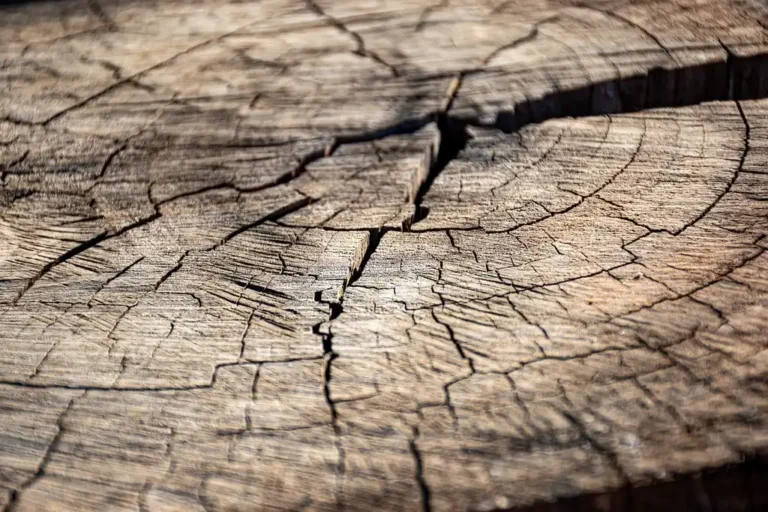 Close-up of a cracked wooden surface with deep splits and weathered grain