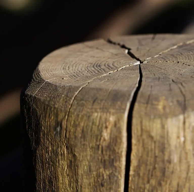 A homeowner inspects a cracked wooden tabletop with tools nearby in natural light.