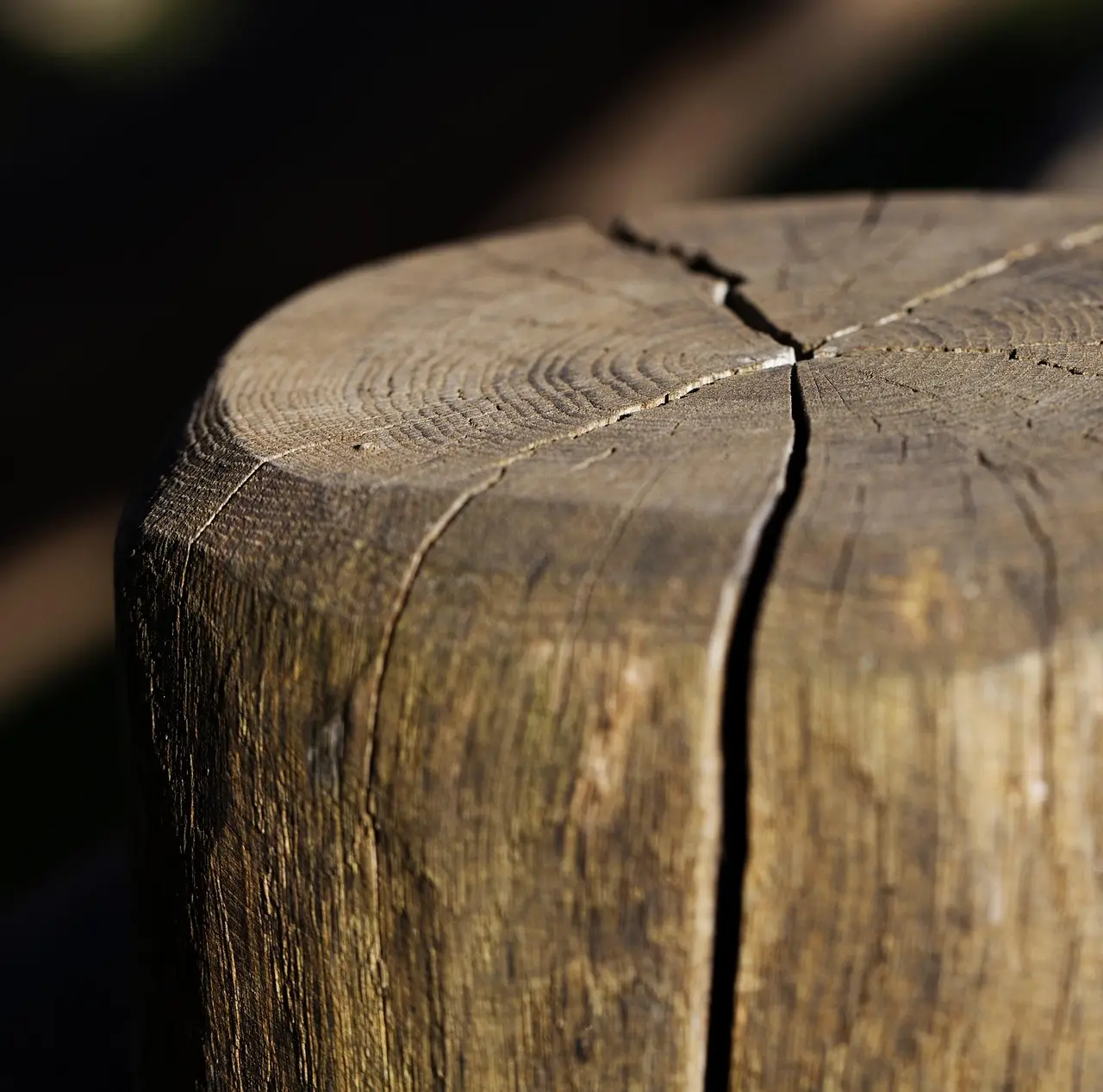 A homeowner inspects a cracked wooden tabletop with tools nearby in natural light.
