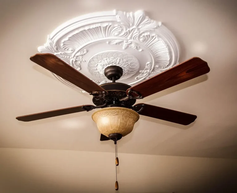 Ceiling fan with light fixture under ornate ceiling medallion in a room