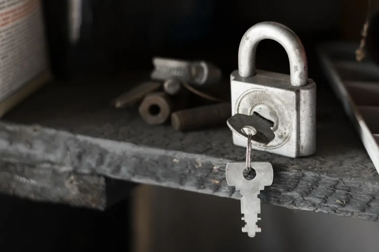 Homeowner beside a LiftMaster garage door, reaching for the side manual lock in a sunlit garage.