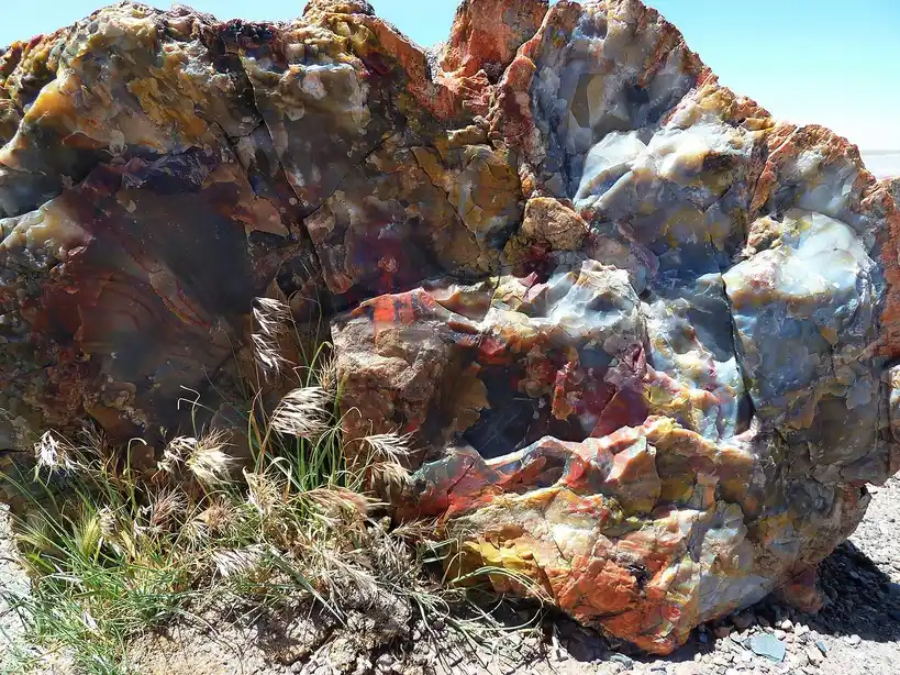 Large colorful rock beside dry grass on a sunny roadside