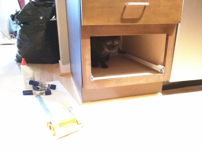 Homeowner checking a sagging kitchen cabinet door with tools on the counter