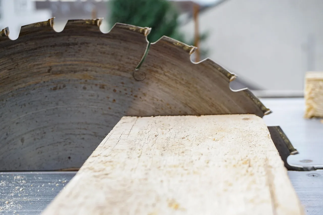 Saw tools guide with several saw types laid out on a woodworking bench beside cut boards