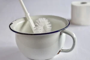 Toilet Brush vs. Disposable Wand: Which Is Better?