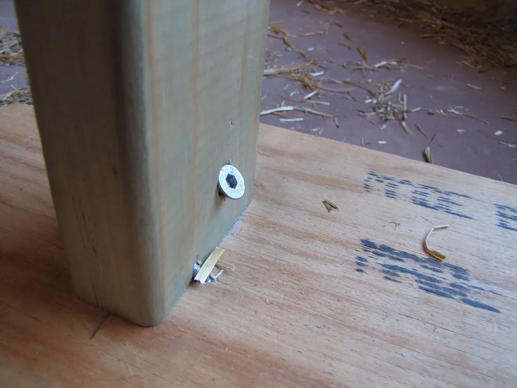 Close-up of a wood screw entering a predrilled hardwood hole with a drill bit aligned straight