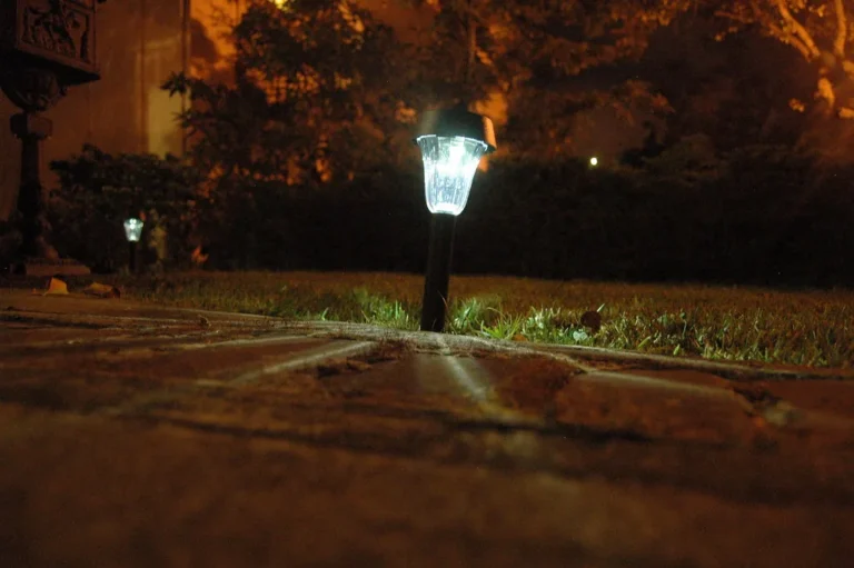 Warm white and cool white solar path lights illuminating a front walkway at dusk