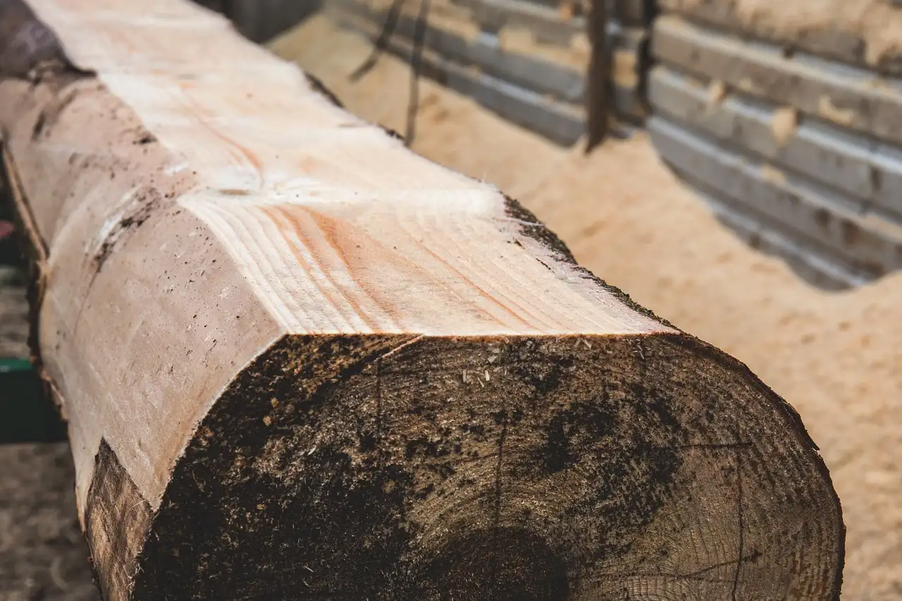 Rough sawn lumber boards on a workbench beside smoother milled boards in a sunlit workshop
