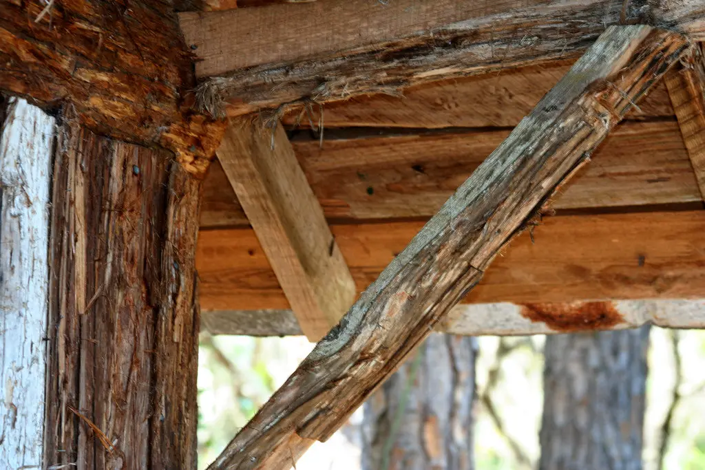 Close-up of rough sawn lumber being measured with a tape and calipers