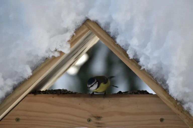Homeowner looks up at a snow-covered roof with heavy buildup along the eaves.