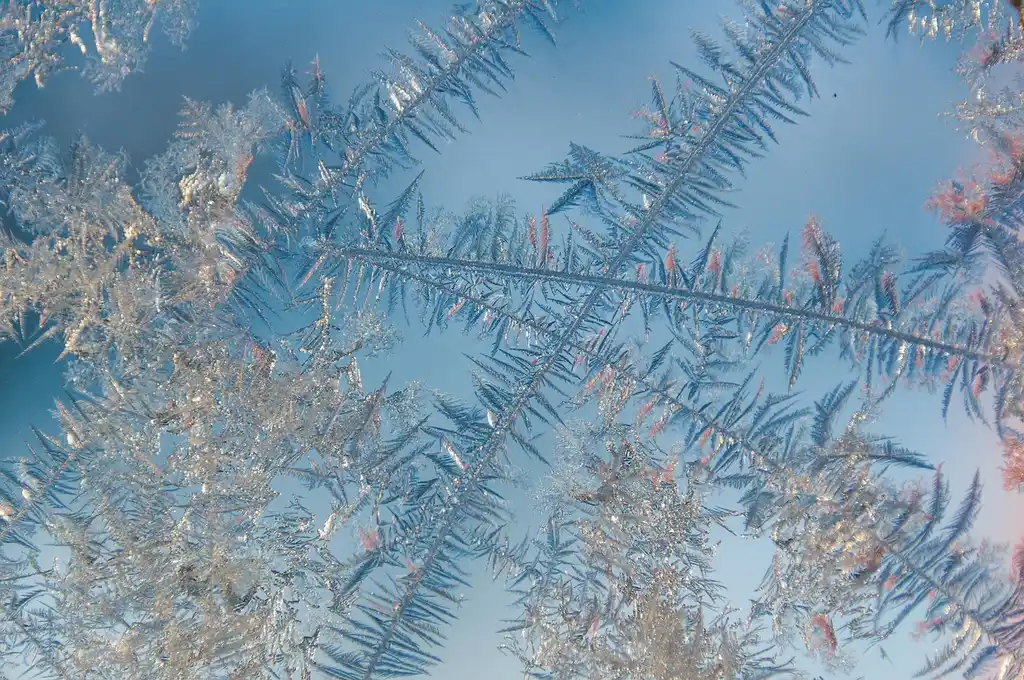 How do I stop frost on the inside of my windows?