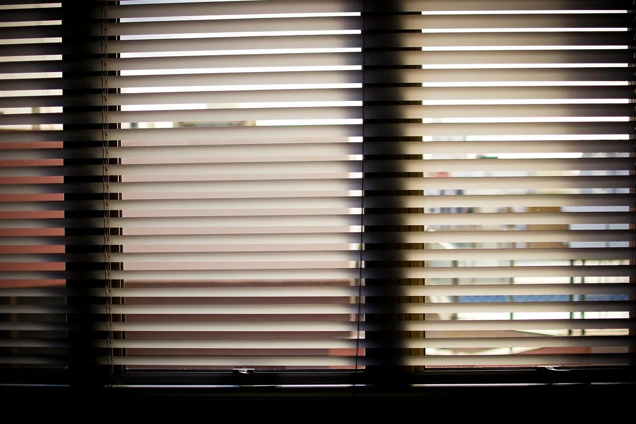 Window film vs. cellular shades at a glance