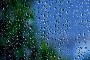 Window Weatherproofing Guide