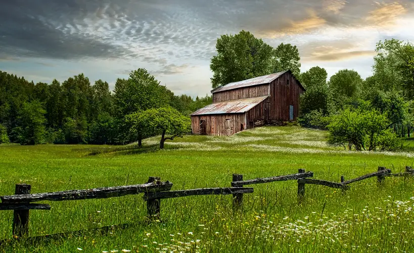 Wood siding vs. composite siding: the core trade-off